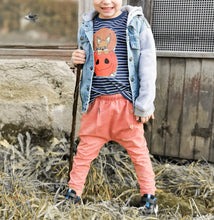 Lade das Bild in den Galerie-Viewer, Kürbishörnchen - PLOTT