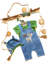 Lade das Bild in den Galerie-Viewer, Emil Esel - PLOTT