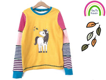 Lade das Bild in den Galerie-Viewer, Kleines Pony - PLOTT