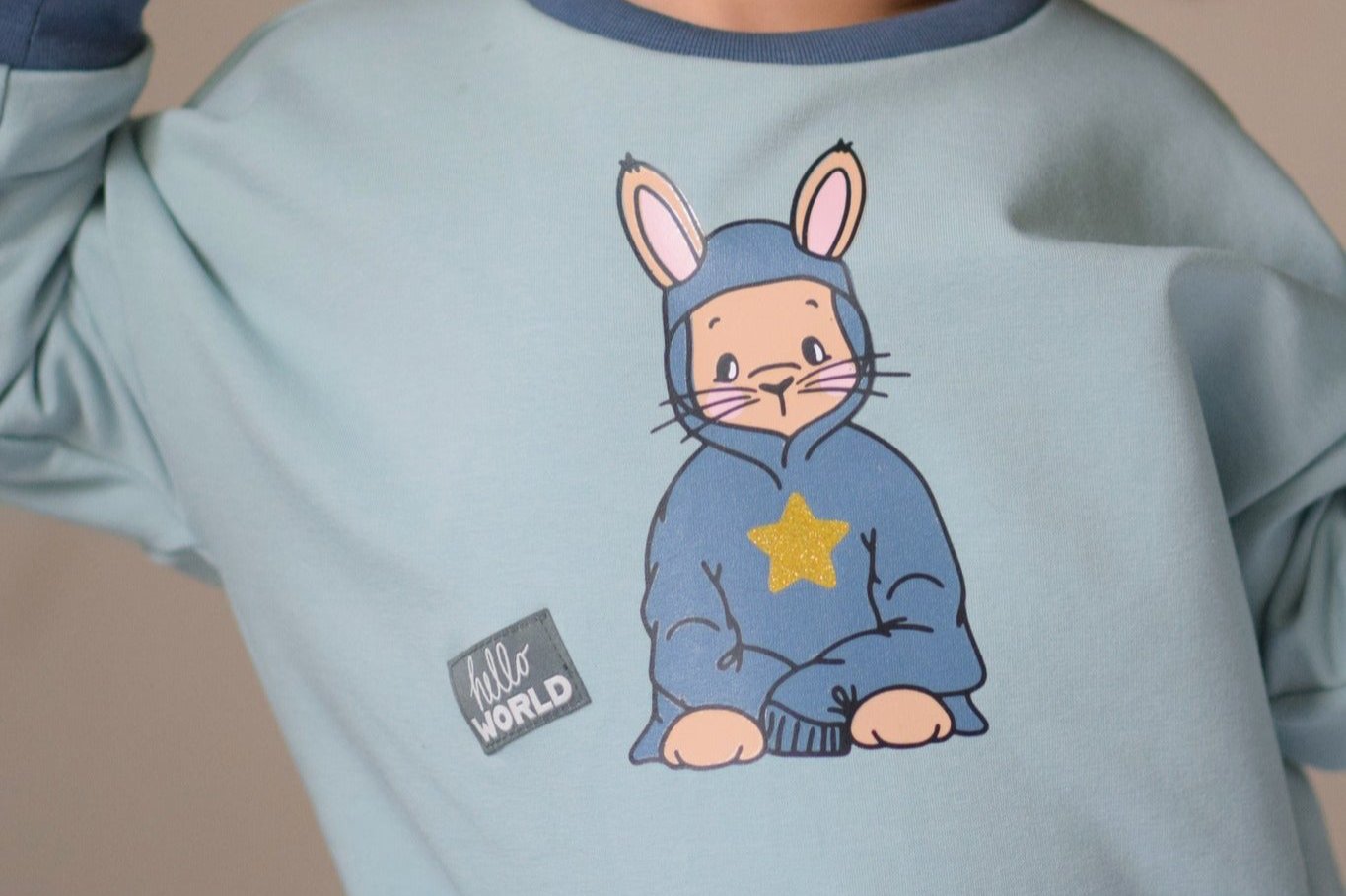 CozyBunny - PLOTT